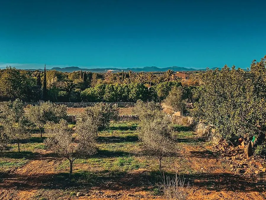 Blue Door Mallorca Cas Concos Κατάλυμα σε φάρμα